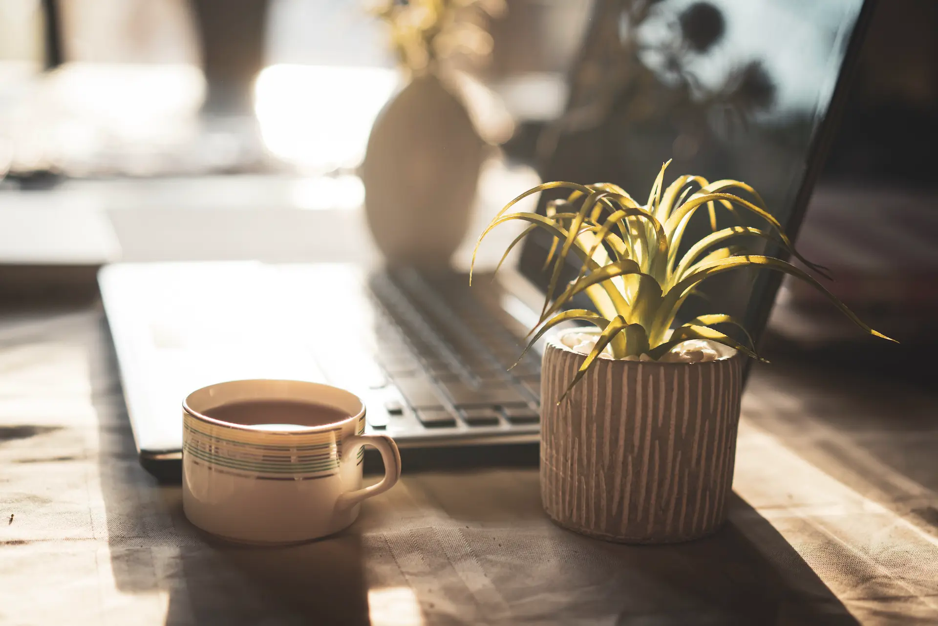 Arbeitsplatz mit Holztisch, Pflanze und Kaffee